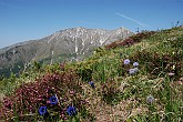 36 Sentiero Rifugio Capanna 2000